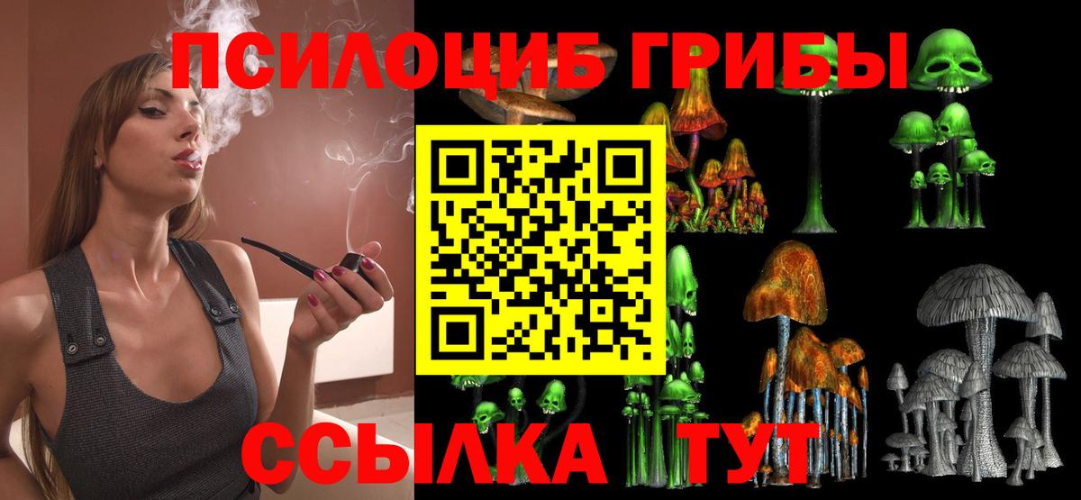 Псилоцибиновые грибы MAGIC MUSHROOMS  Вход с VPN  Фрязино 