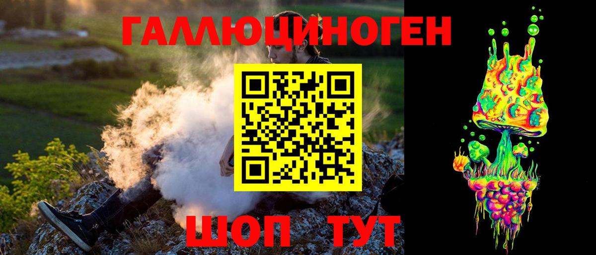 Галлюциногенные грибы Psilocybine cubensis Фрязино